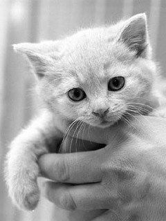 Юля Савинкова