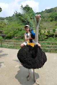 Александр Сытников