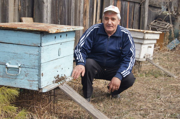 Аркадий Гернега