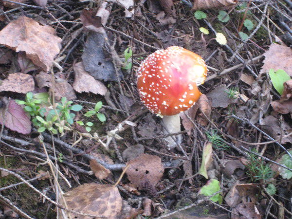 Борис Мороз