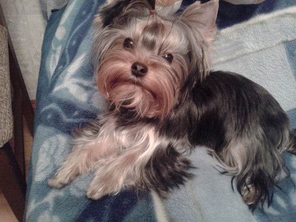 Ирина Афанасьева