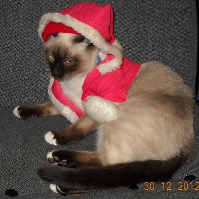 Алина Жалялетдинова