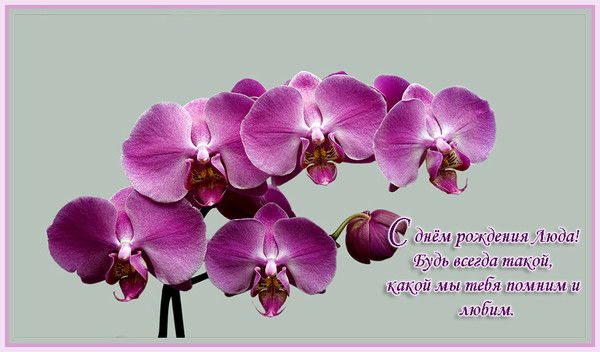 Людмила Коровиченко