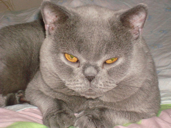 Марина Невьянцева