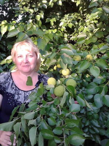 Светлана Привезенцева