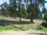 Галина Раецкая