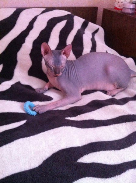 Анна Попова