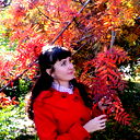 Елена Конова