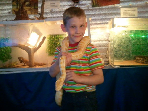 Дмитрий Волненко