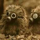 Андрей Сбитнев