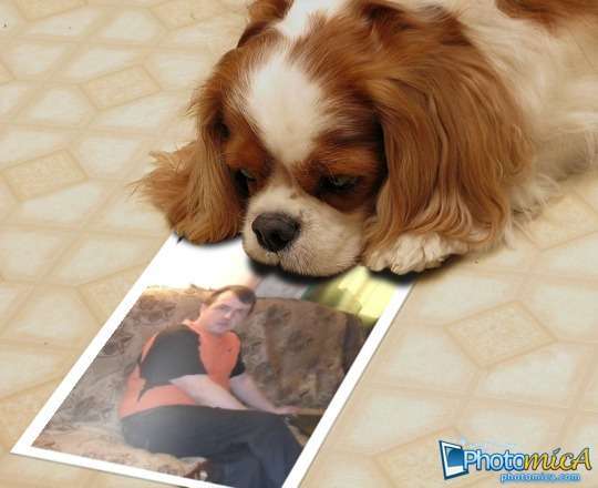 Василий Огнев