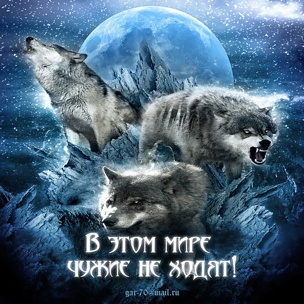 Иван Огородник