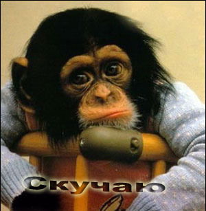 Сергей Будник