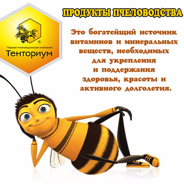 Светлана Кислицина-Тенториум