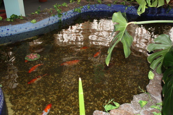 Евгений Любивый