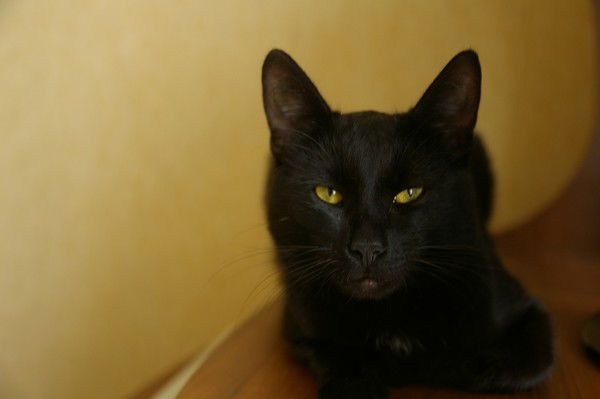 Роман Кленов