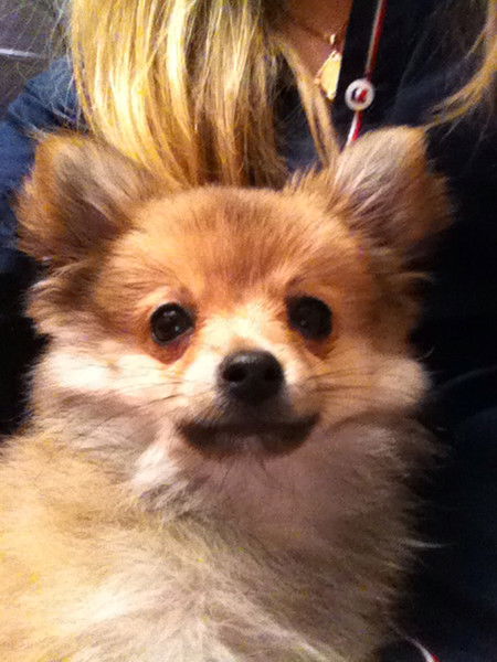 Яна Гордова