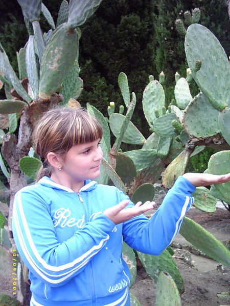 Мария Новикова