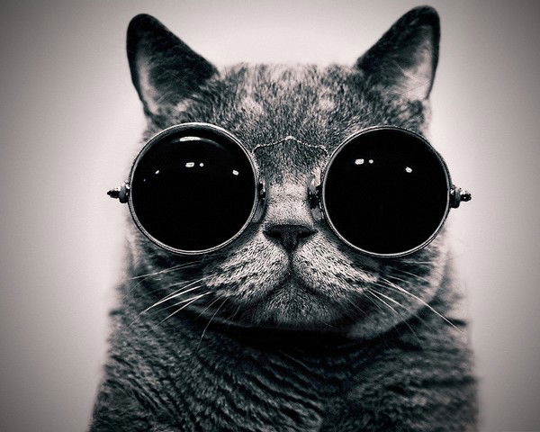 Нелля Канаева