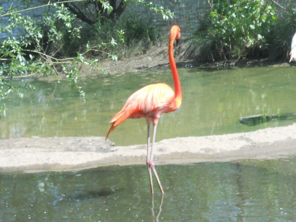 Катерина Бахарева