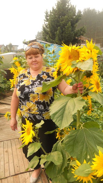 Алла Колесникова