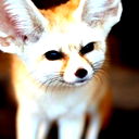 Александр Макаров