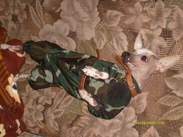 Татьяна Точилова