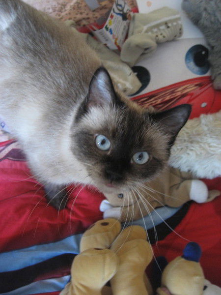 ***леночк@*** ***