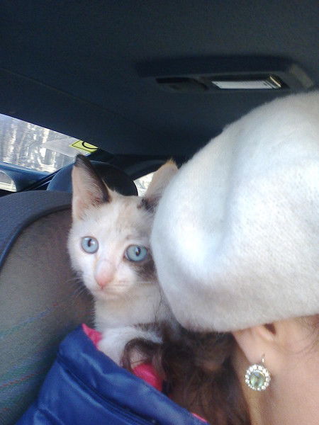 Натали Я Зф,клондайк