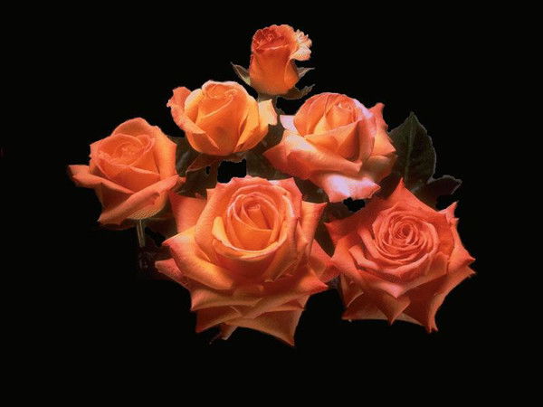 Омуркан Момунова