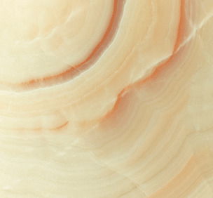 Анастасия Никифорова