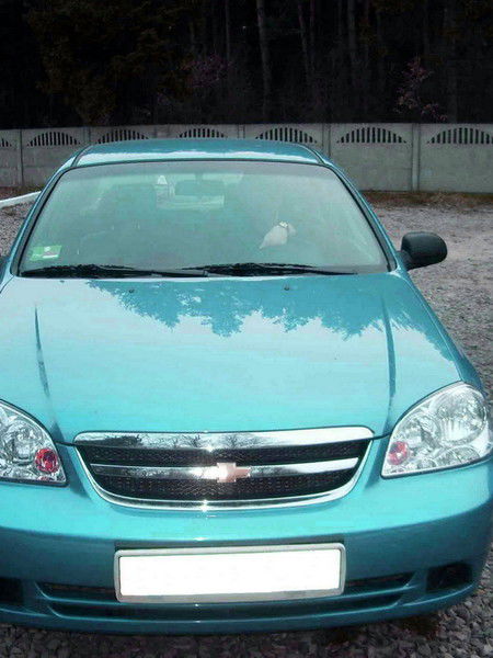 Александр K