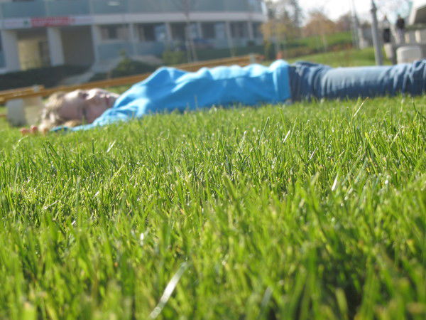 Любаша Журавлёва