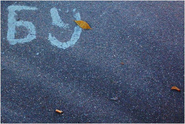 Андрей Шаймухамедов