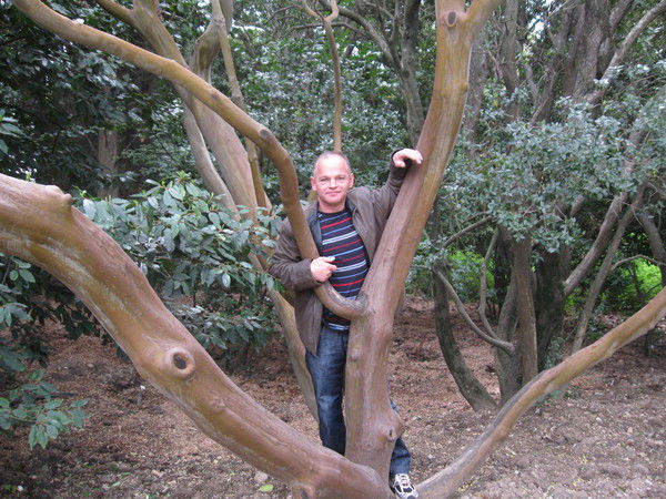 Игорь Лубянский