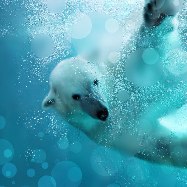 Александр Малякаев