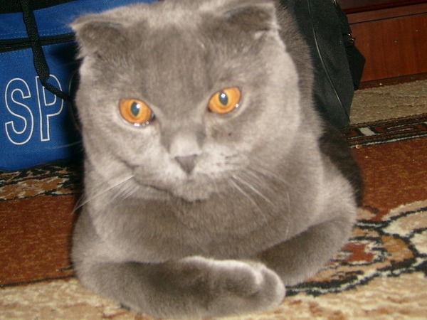 Александр Аноп