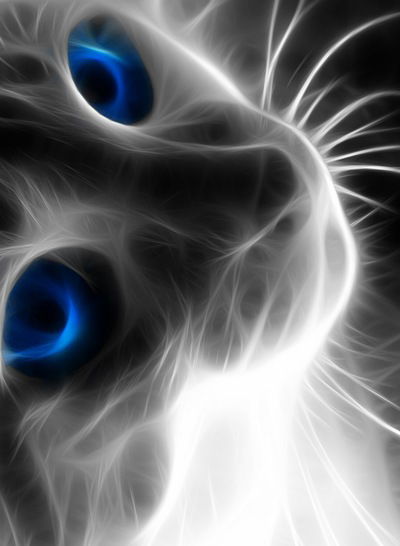 Даша Русова