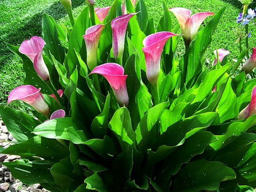 Методический Кабинет