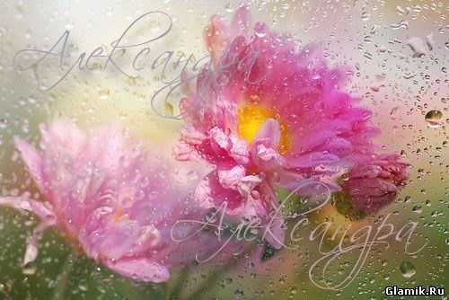 Александра Шашерина