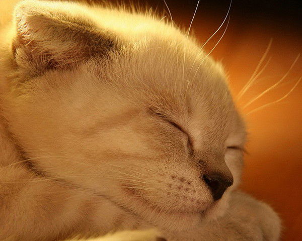 Мария Симанова