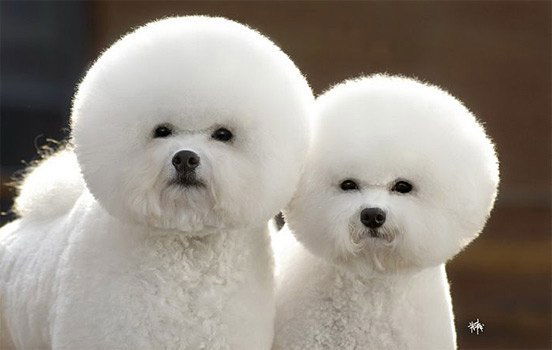 Татьяна Черемных