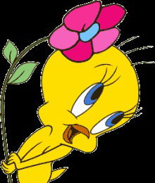 Даша Качайкина