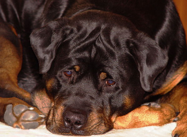 Семен Семенович