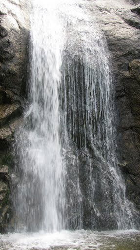 Айгуль Касымова