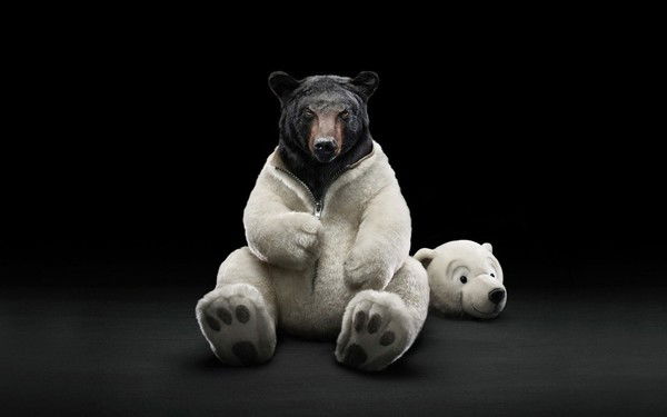 Владимир Прядов