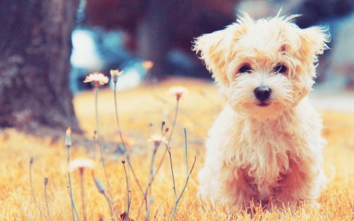 Ник Стырили 02 Полиция ^o^