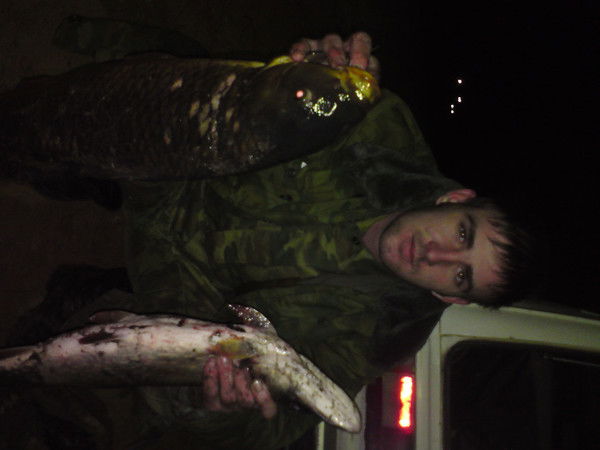 Николай Бондаренко