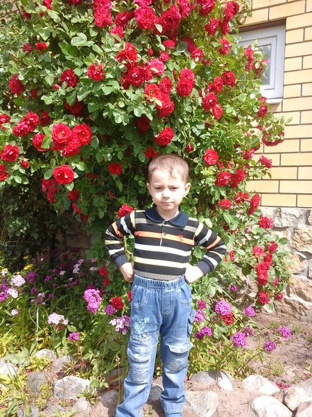 Елена Лашова