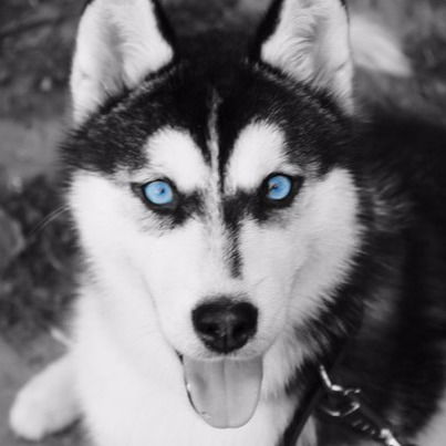 Рамиля Хамзина